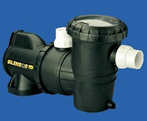 Davey Silensor pool pump