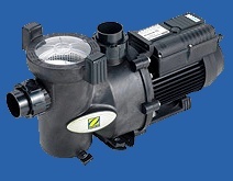 Zodiac Flopro pool pump